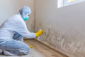 Best Water Damage & Mold Remediation  in Dimmitt, TX